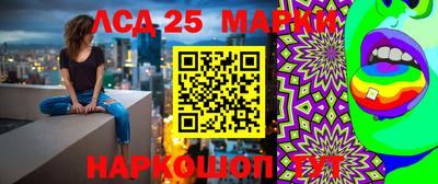 тгк Камышлов