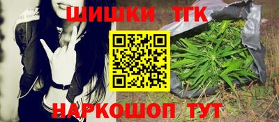 тгк Камышлов