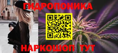 2c-b Канаш