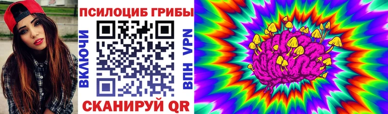 купить наркоту  Октябрьский  блэк спрут ссылка  Псилоцибиновые грибы Psilocybe 