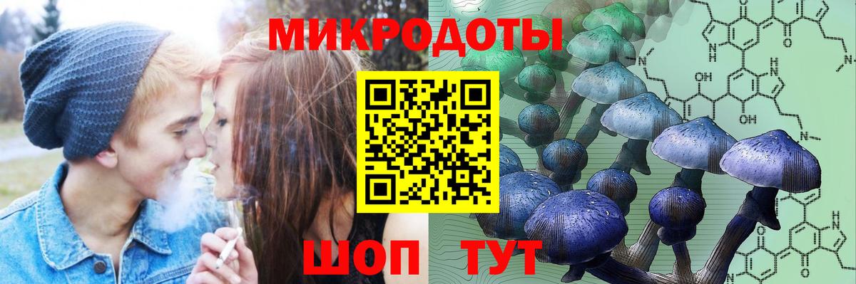 Галлюциногенные грибы GOLDEN TEACHER  Вход с VPN  где продают наркотики  Галлюциногенные грибы Cubensis  Октябрьский 